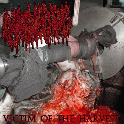 Victim of the Harvest